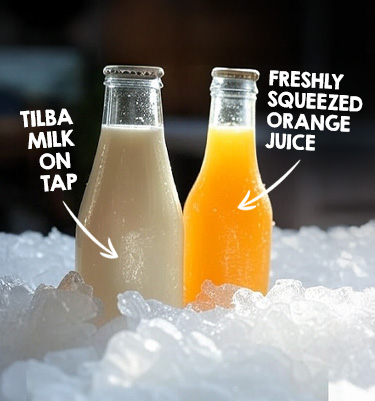 Tilba Milk on Tap & Freshly Squeezed Orange Juice